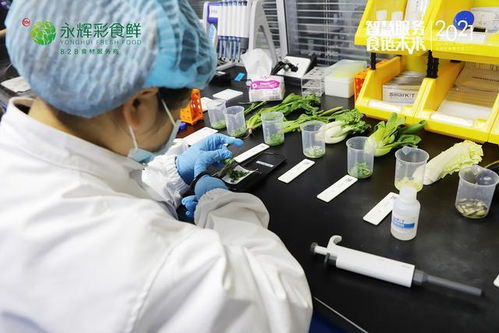 B2B食材生意样本 永辉彩食鲜如何重塑农产品供应链