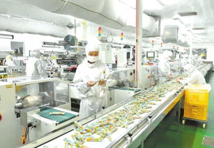 产业集聚挺起农区发展脊梁——以驻马店为例看农产品生产的转型与升级