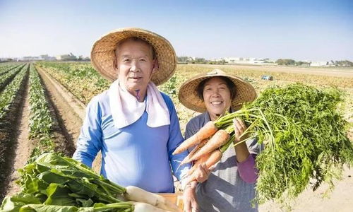退休金4200的我，在农村嫂子家看到的另一种富足