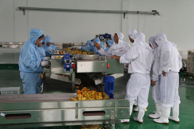 三都 推进农产品深加工 助力脱贫攻坚的实践与思考