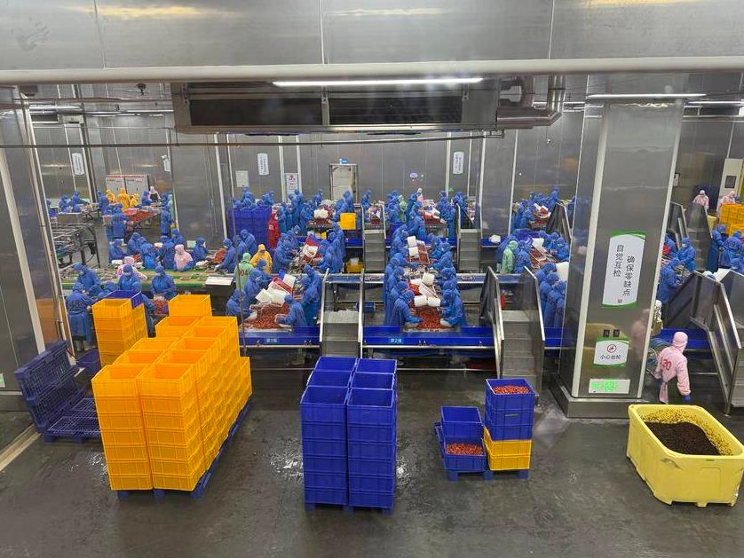 石首农产品加工业 开足马力生产忙 产销两旺势头好